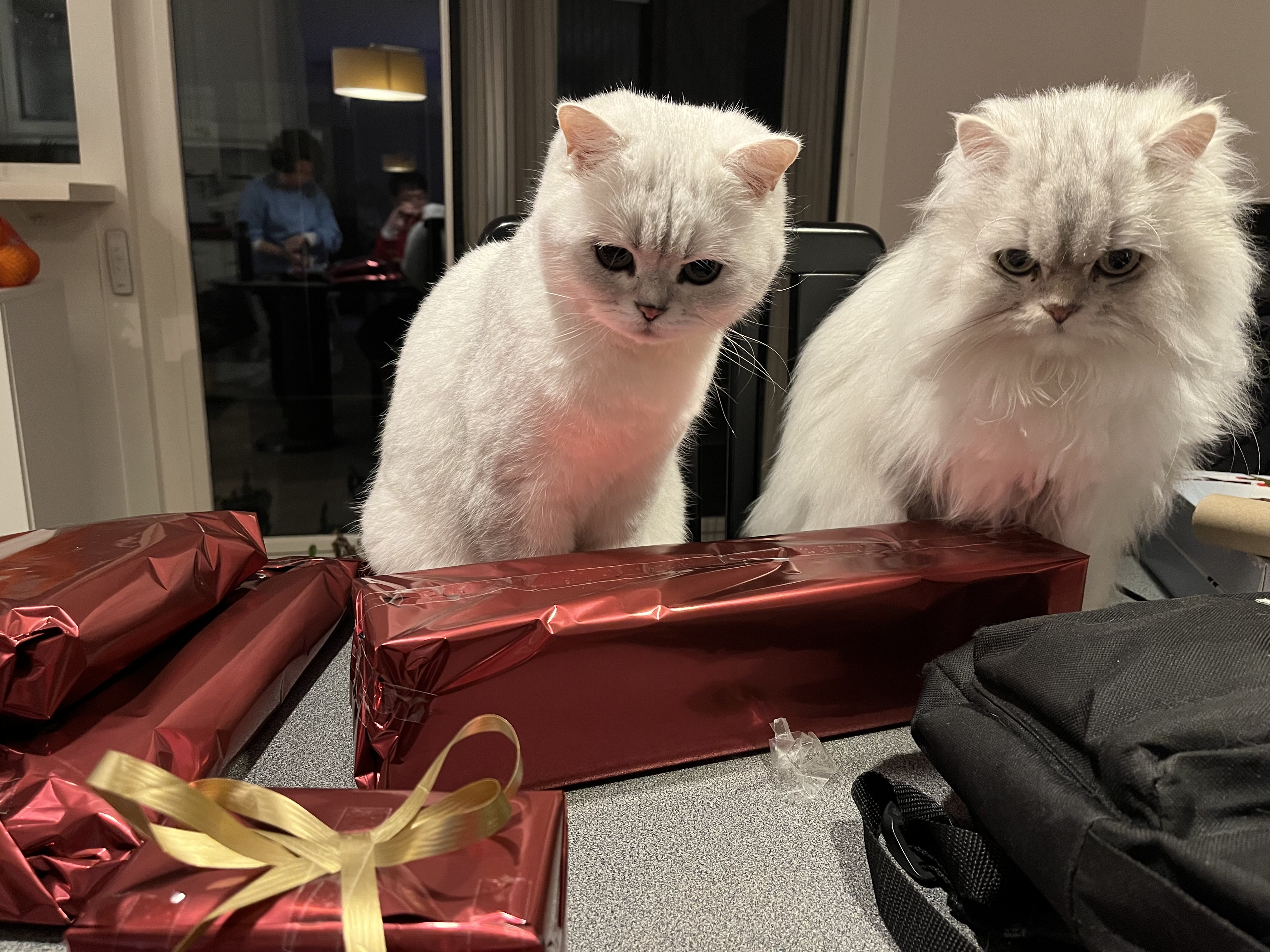 ouji sitting with fuuko