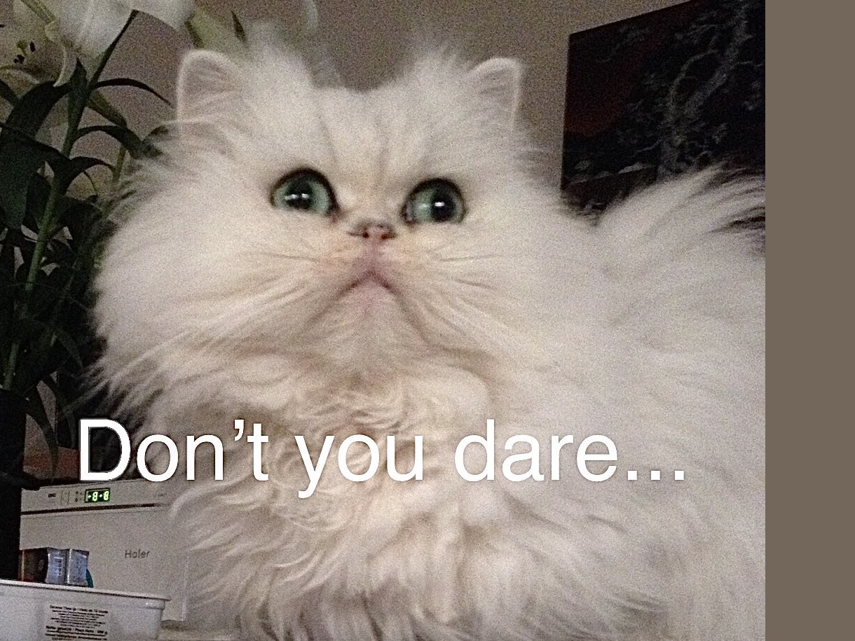 saiko staring angrily